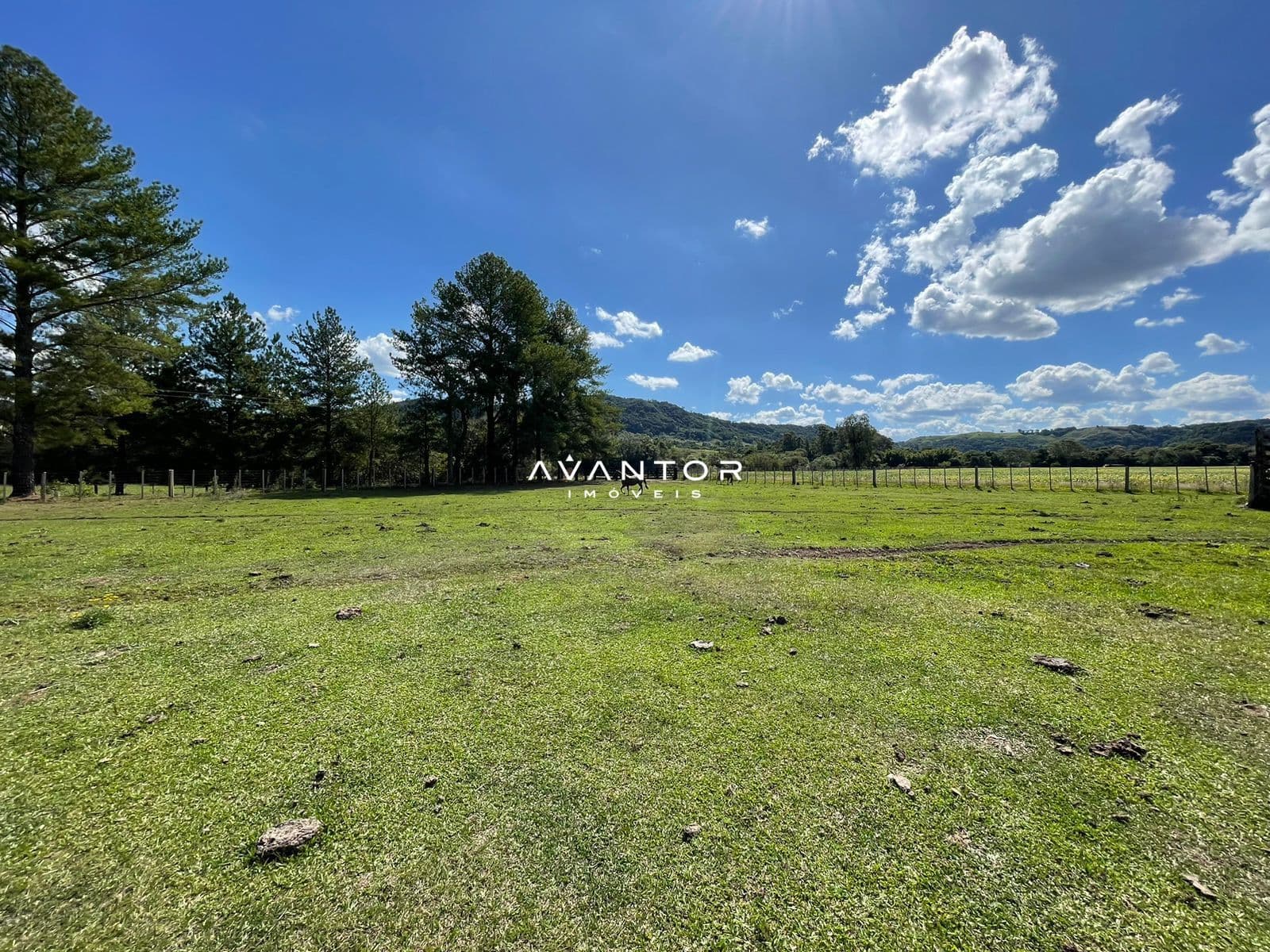 Campo à venda em Rural, São Pedro do Sul/RS — foto 23 de 26