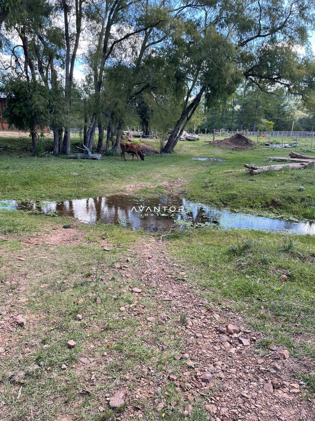Campo à venda em Rural, São Pedro do Sul/RS — foto 26 de 26
