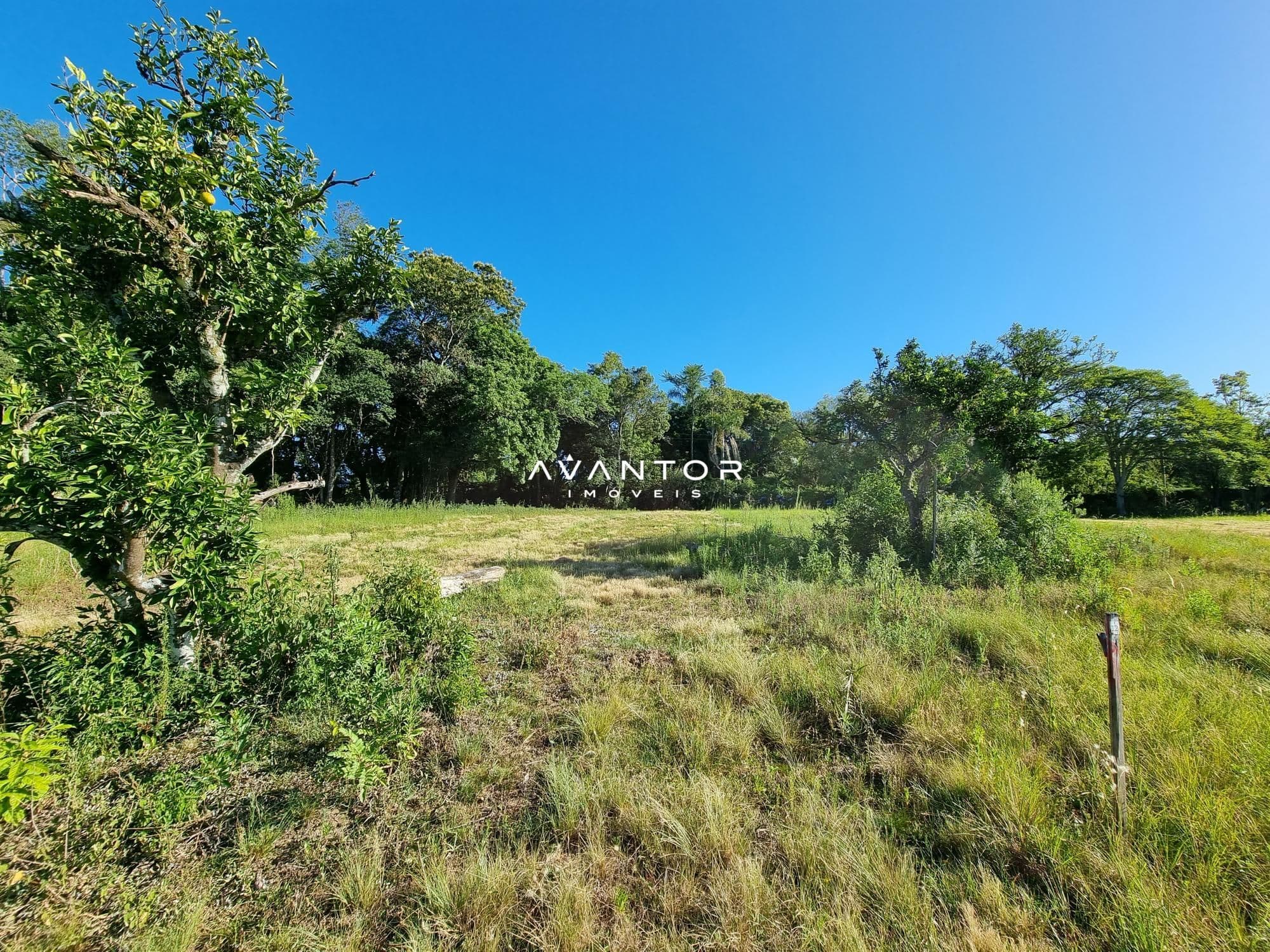 Terreno à venda em Parque Serrano I, Itaara/RS — foto 10 de 43