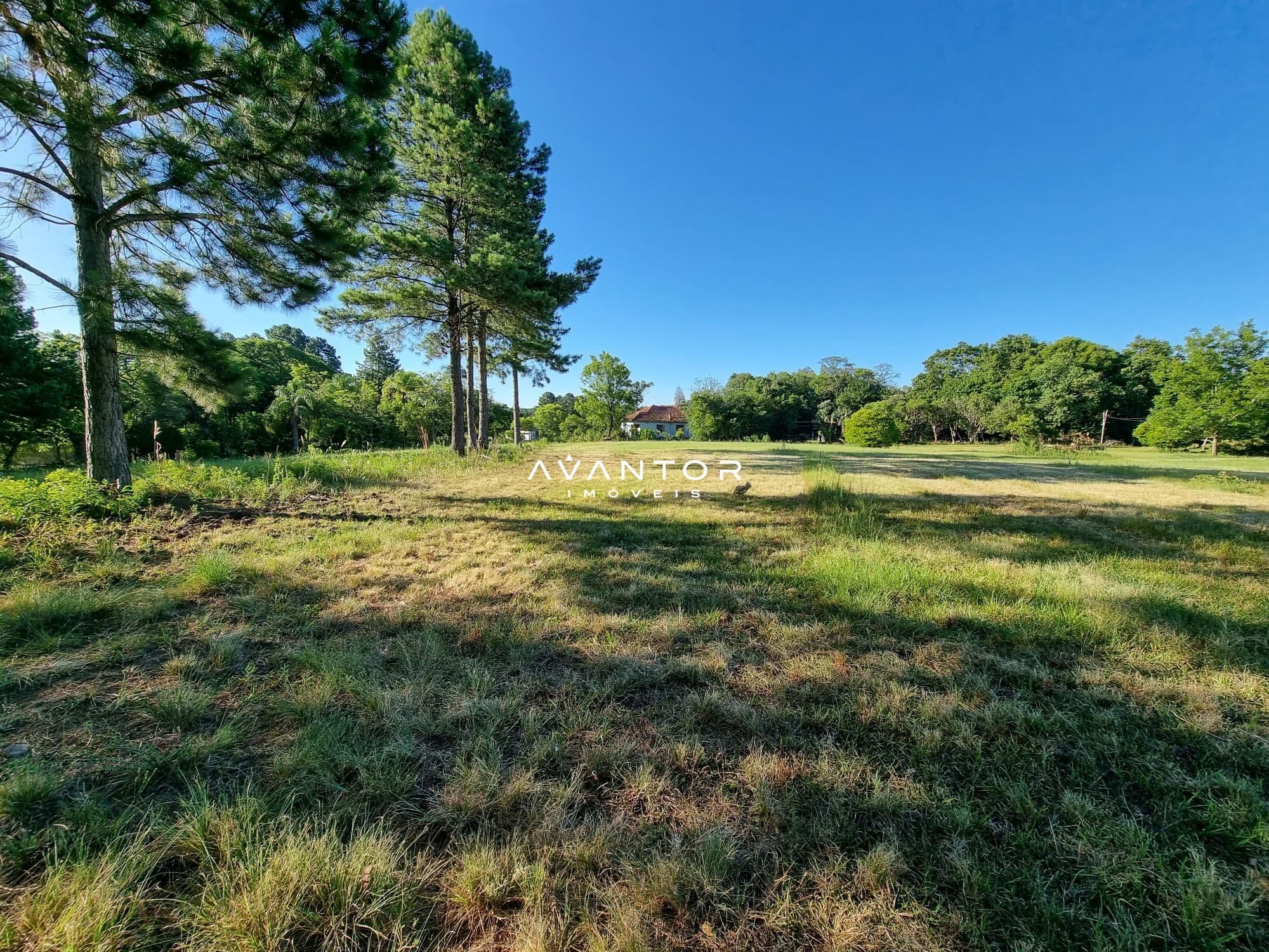 Terreno à venda em Parque Serrano I, Itaara/RS — foto 14 de 43