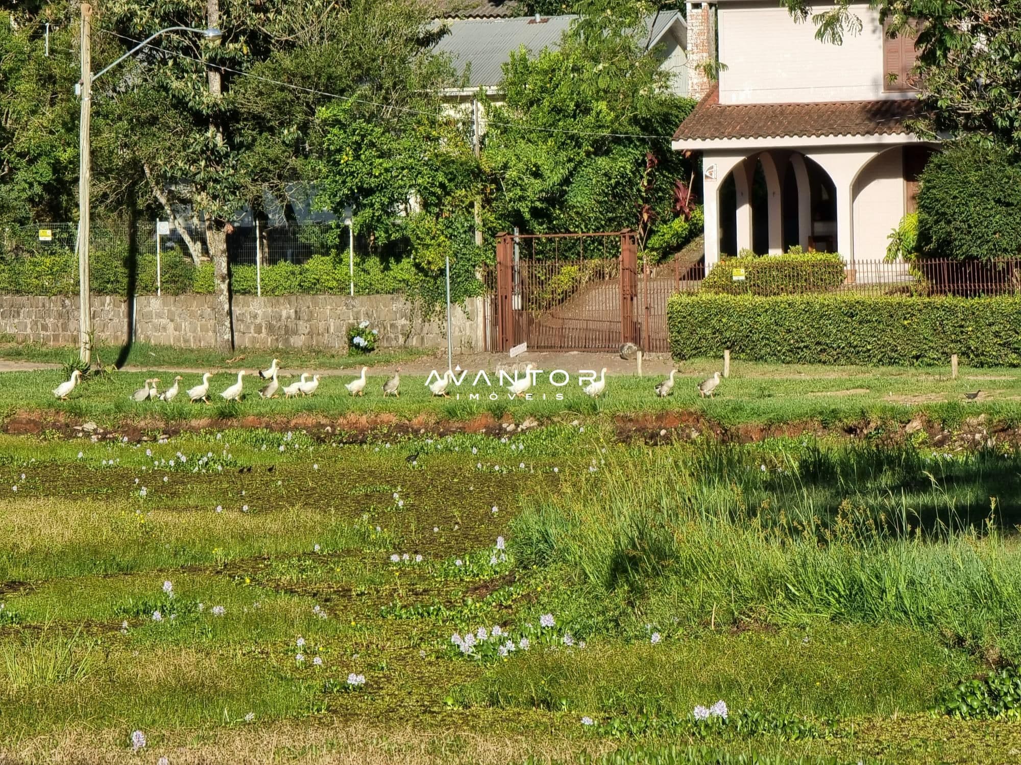 Terreno à venda em Parque Serrano I, Itaara/RS — foto 34 de 43