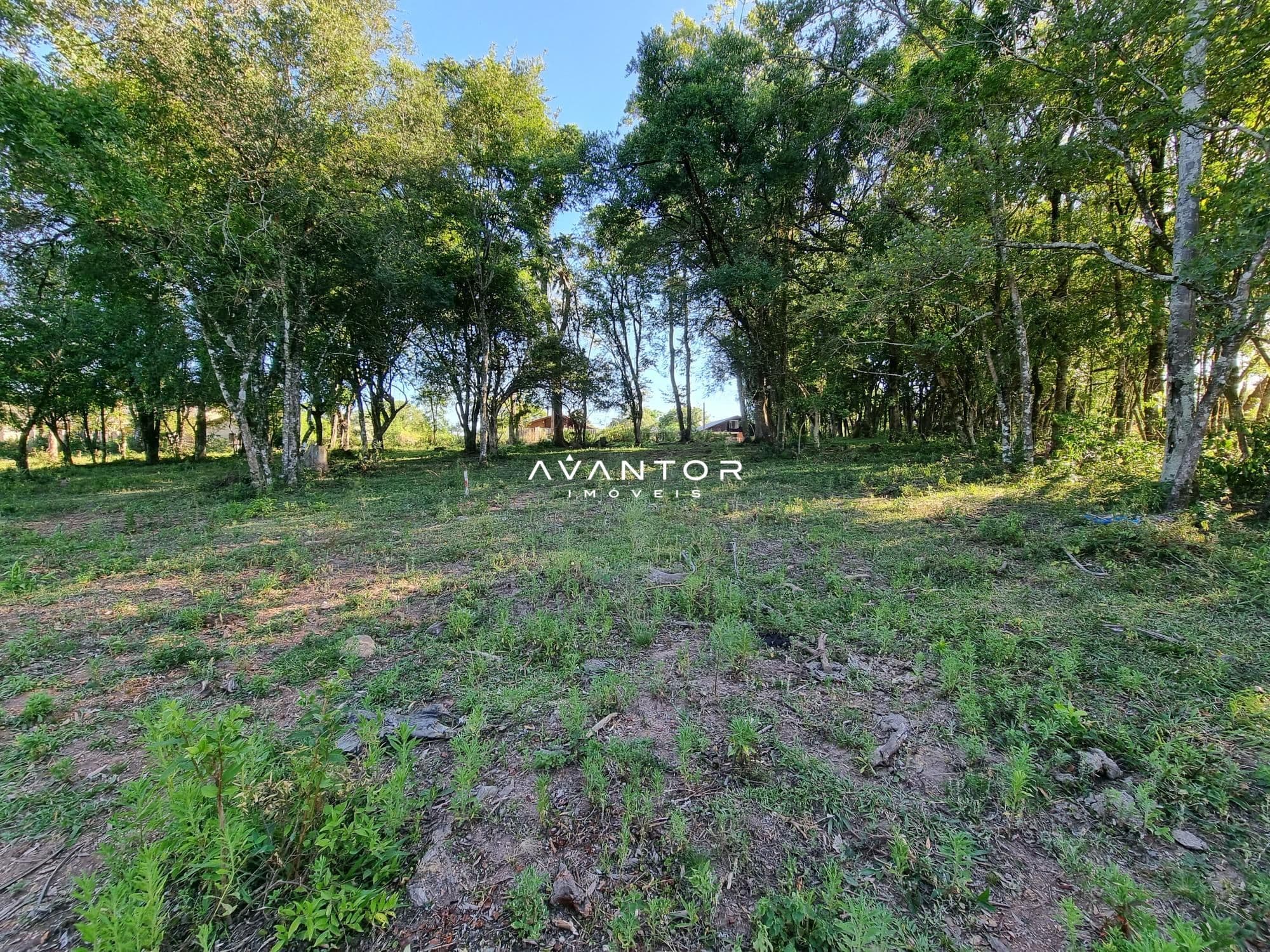Terreno à venda em Parque Serrano I, Itaara/RS — foto 12 de 43
