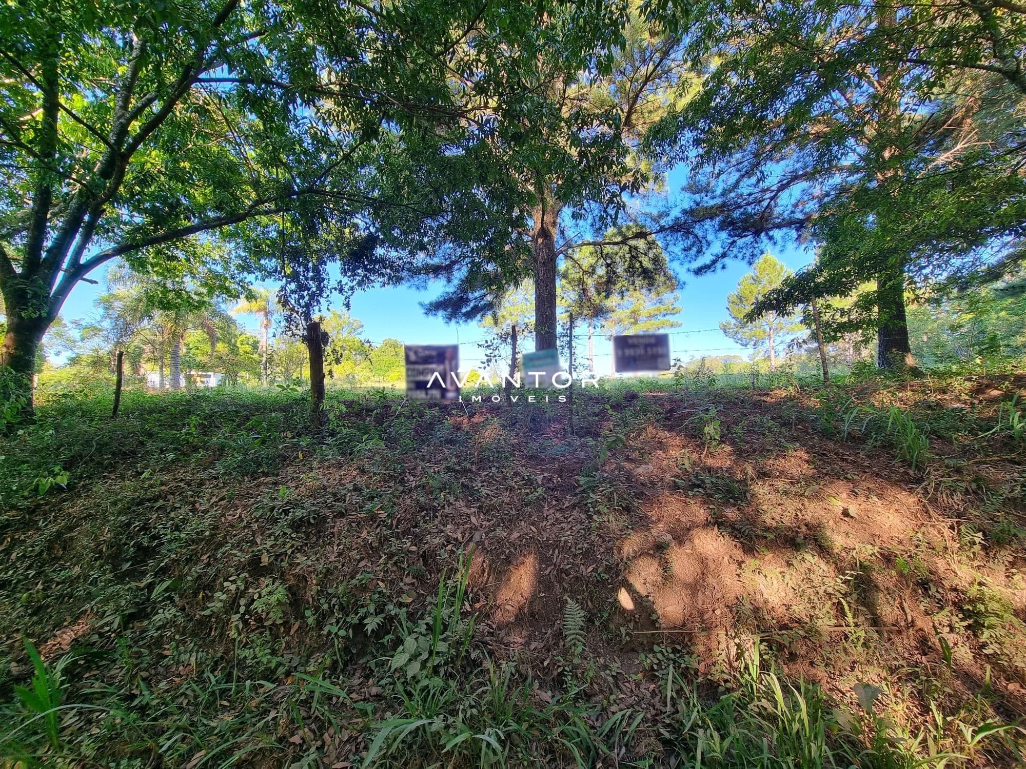 Terreno à venda em Parque Serrano I, Itaara/RS — foto 25 de 43