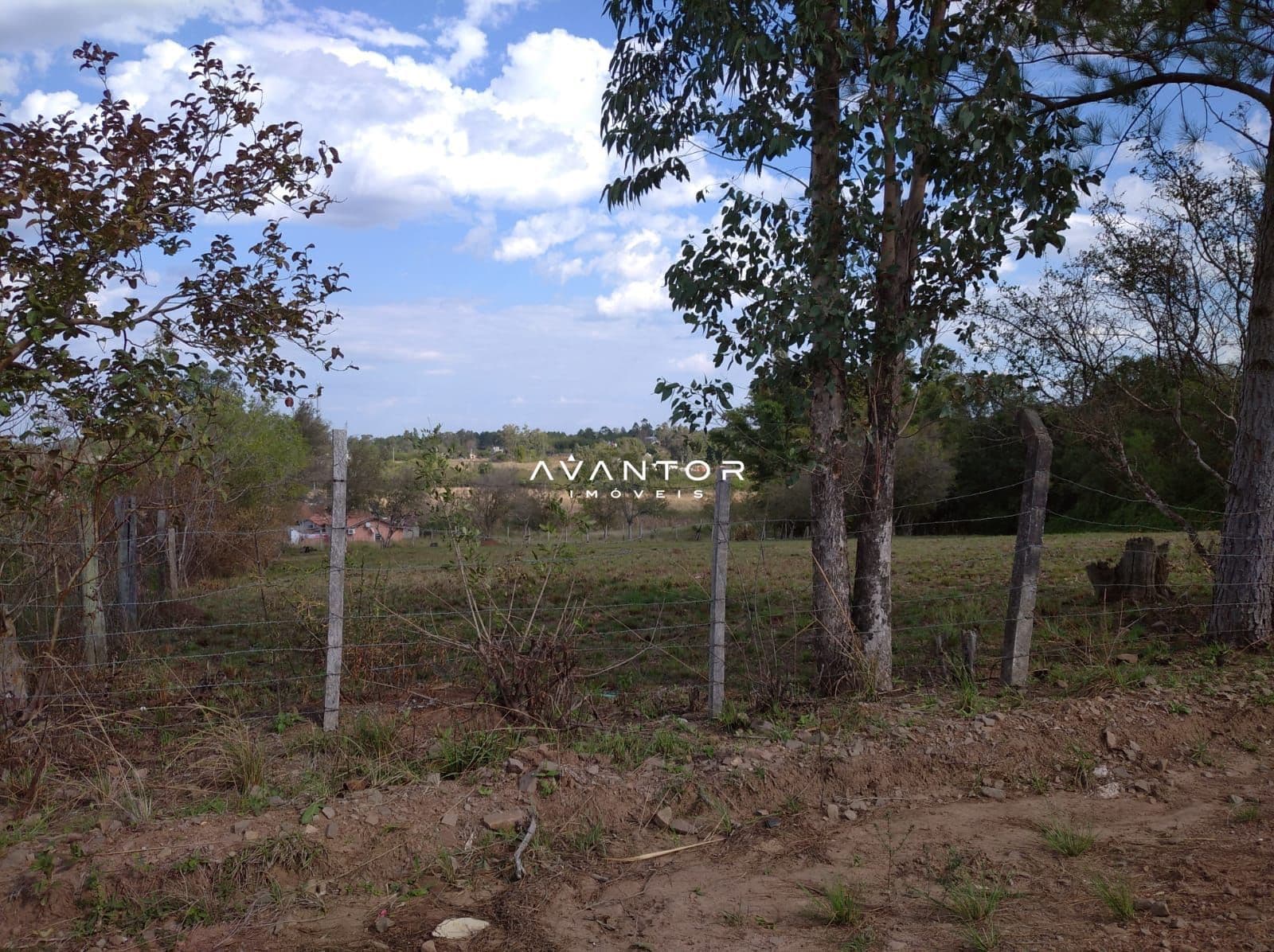 Terreno à venda em Diácono João Luiz Pozzobon, Santa Maria/RS