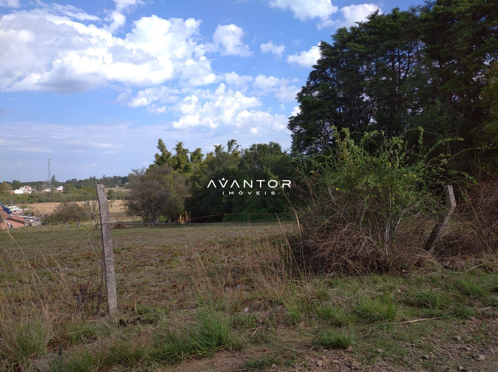 Terreno à venda em Diácono João Luiz Pozzobon, Santa Maria/RS — foto 3 de 4