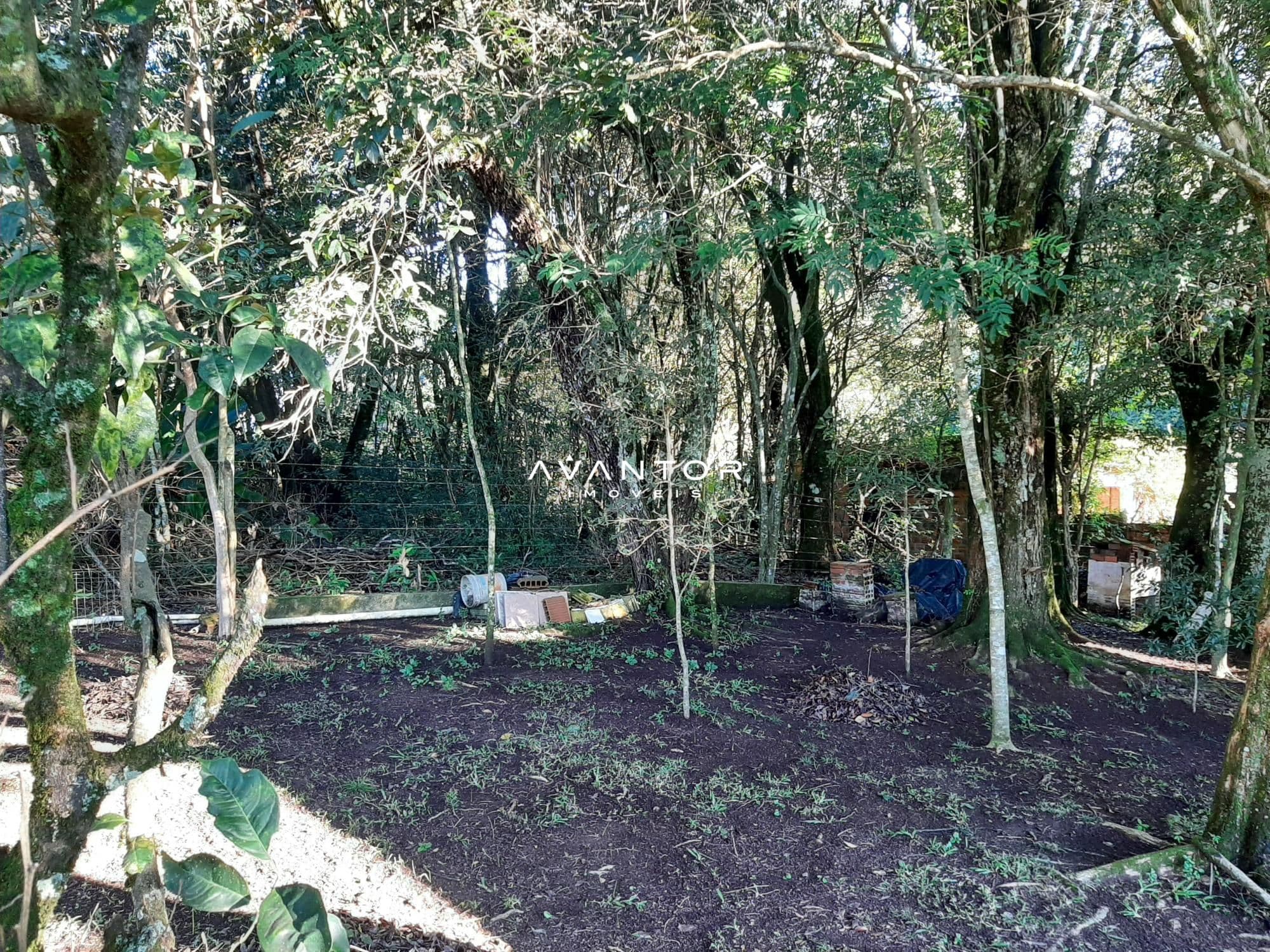 Casa com 1 quarto à venda em Parque Serrano I, Itaara/RS — foto 7 de 16