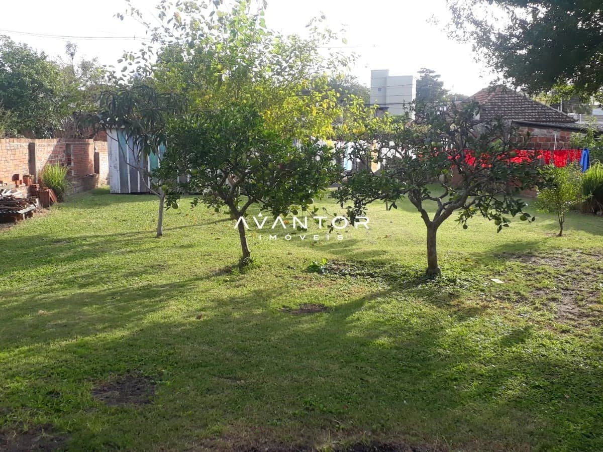 Pátio com árvores frutíferas — Terreno à venda em Passo D'Areia, Santa Maria/RS