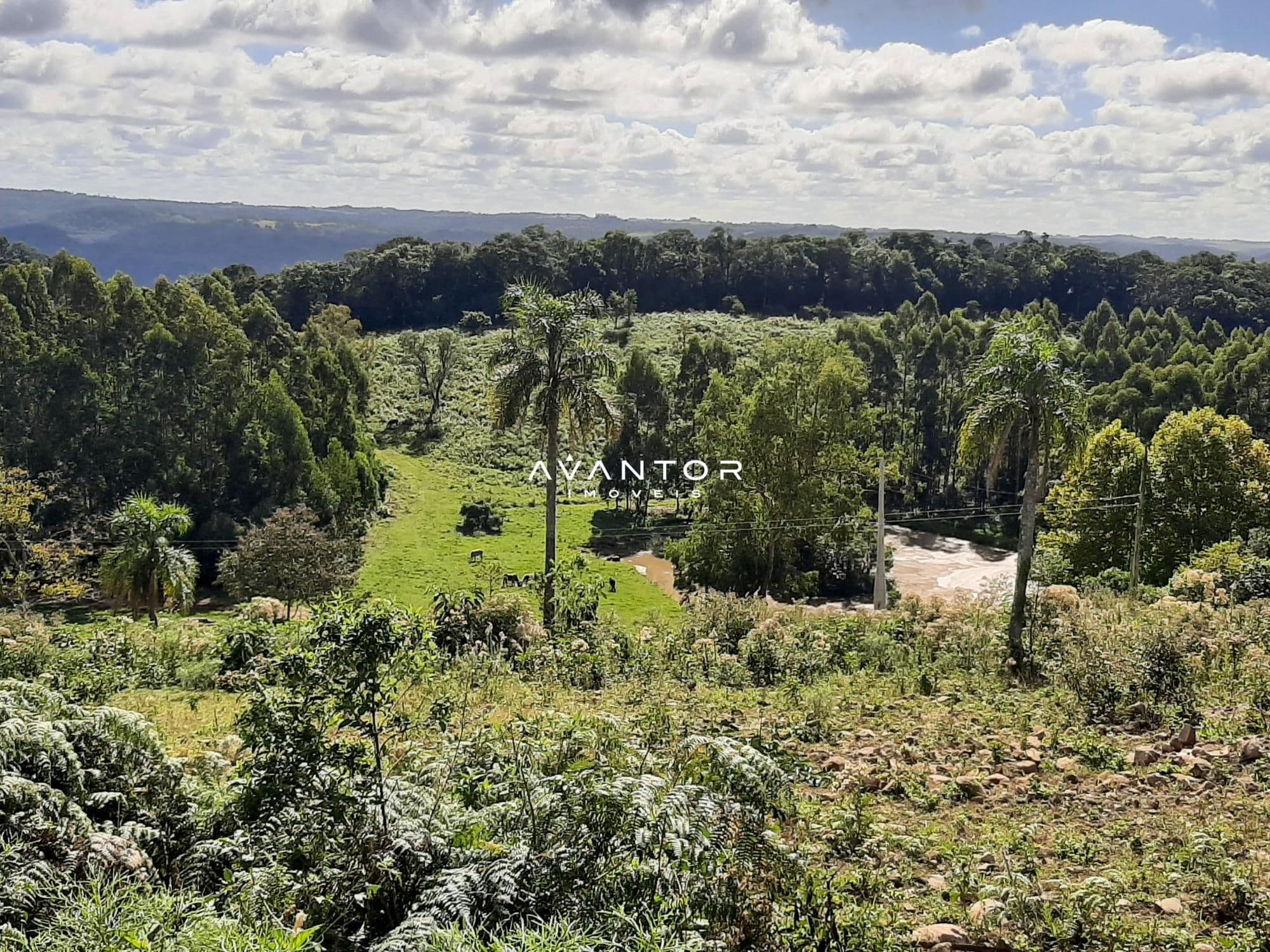 Vista aérea do terreno com vegetação — Campo à venda em Parque Pinhal, Itaara/RS