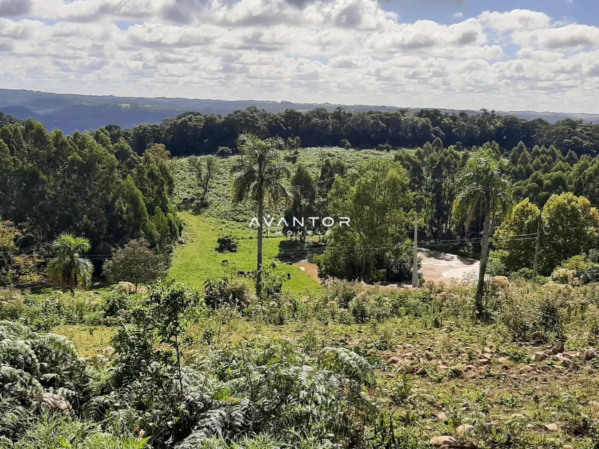 Vista aérea do terreno com vegetação — Campo à venda em Parque Pinhal, Itaara/RS