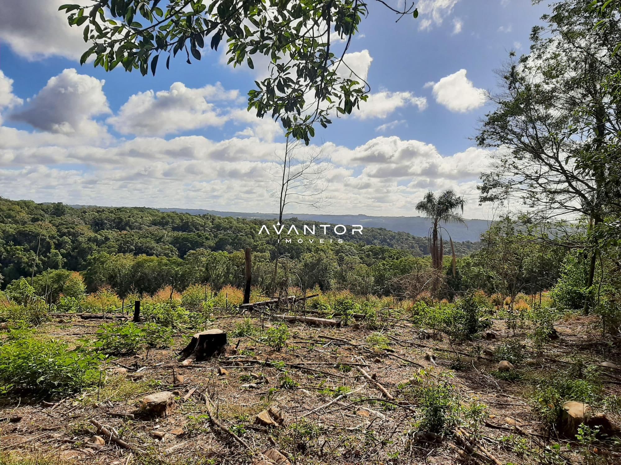 Campo à venda em Parque Pinhal, Itaara/RS — foto 2 de 8