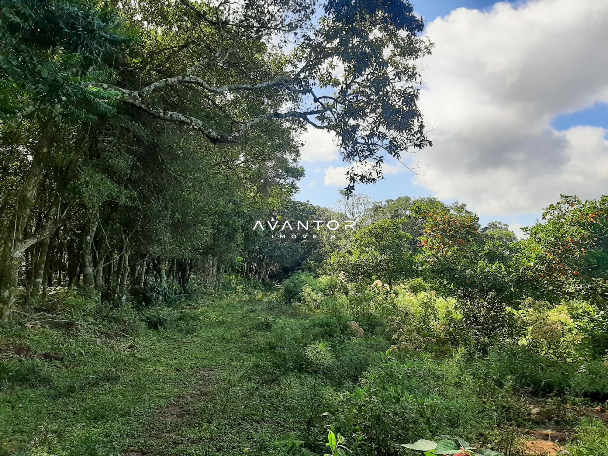 Campo à venda em Parque Pinhal, Itaara/RS — foto 4 de 8