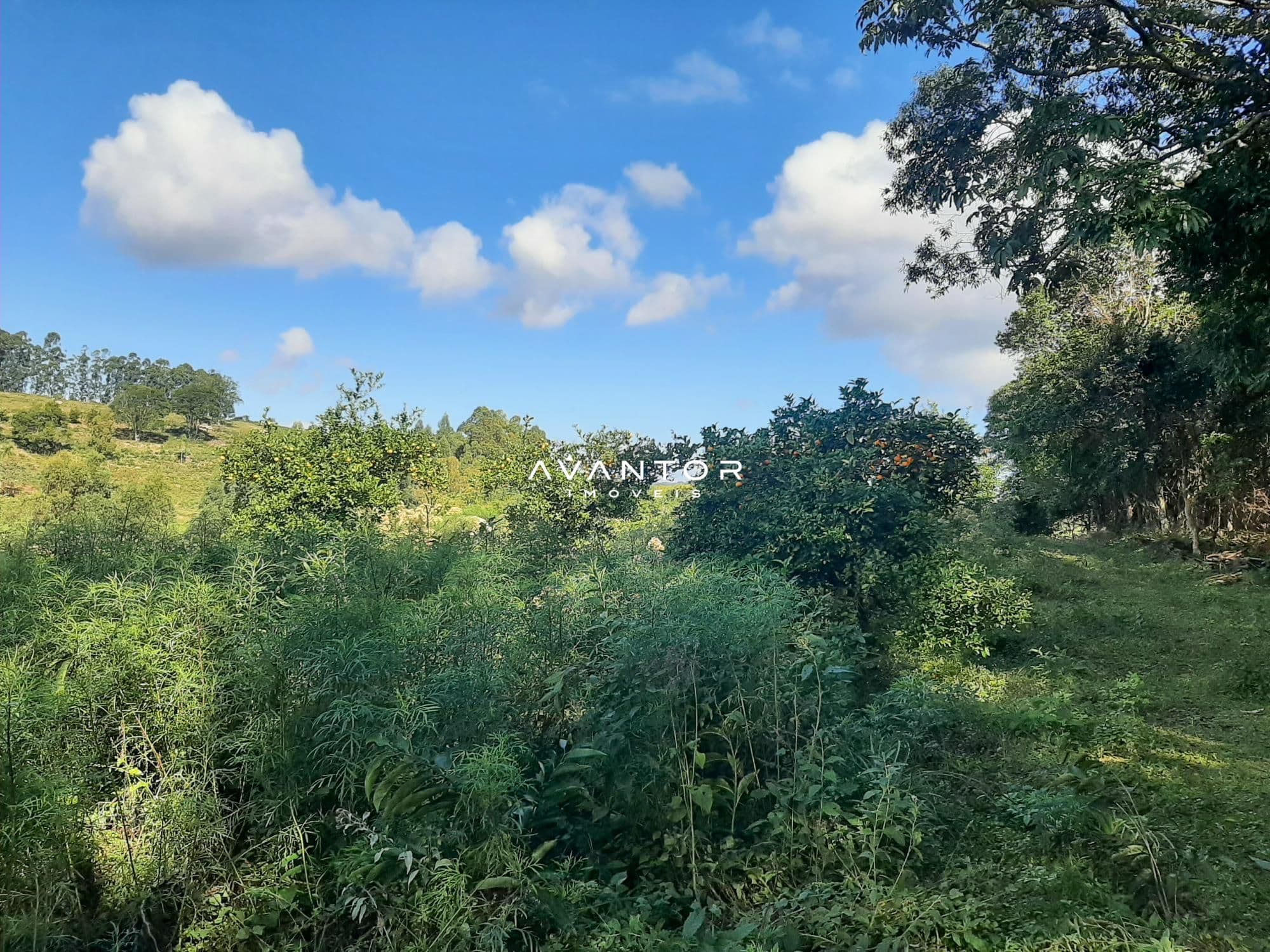 Campo à venda em Parque Pinhal, Itaara/RS — foto 7 de 8