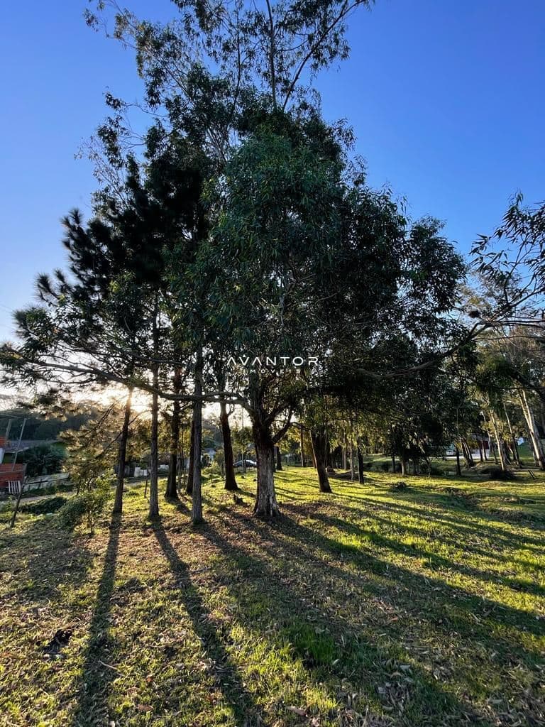 Campo à venda em Pains, Santa Maria/RS — foto 5 de 10