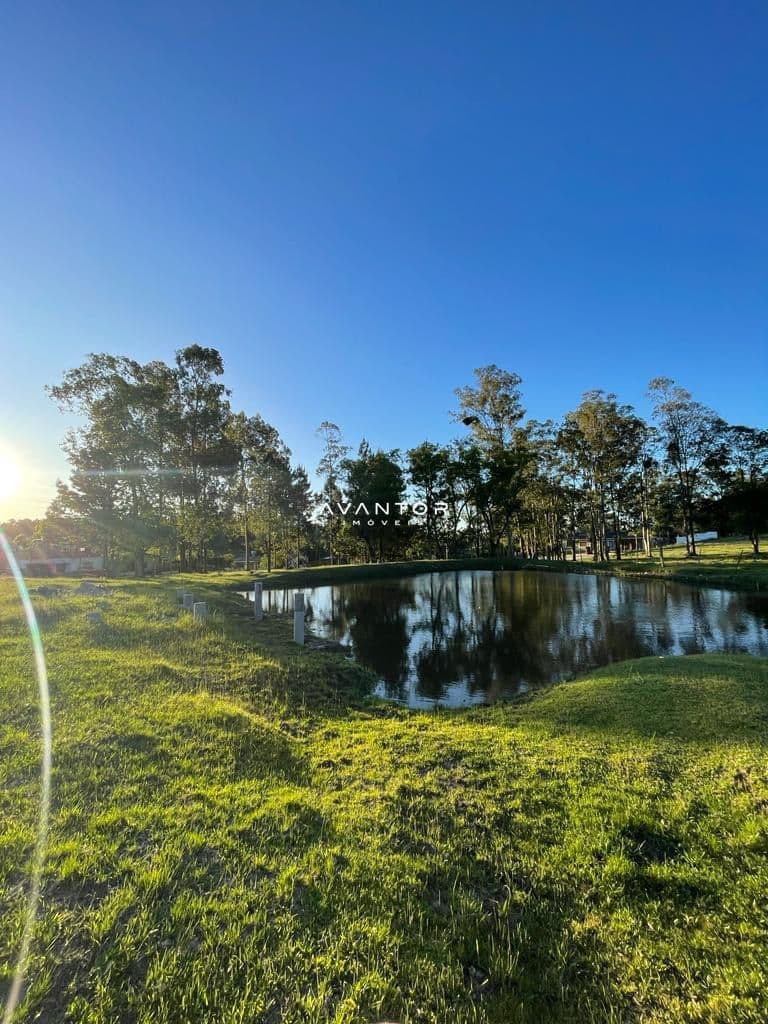 Campo à venda em Pains, Santa Maria/RS — foto 6 de 10
