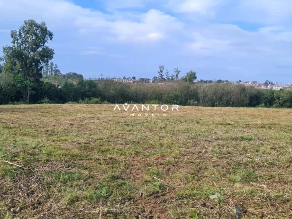 Terreno com vista para área rural e vegetação — Terreno à venda em Diácono João Luiz Pozzobon, Santa Maria/RS