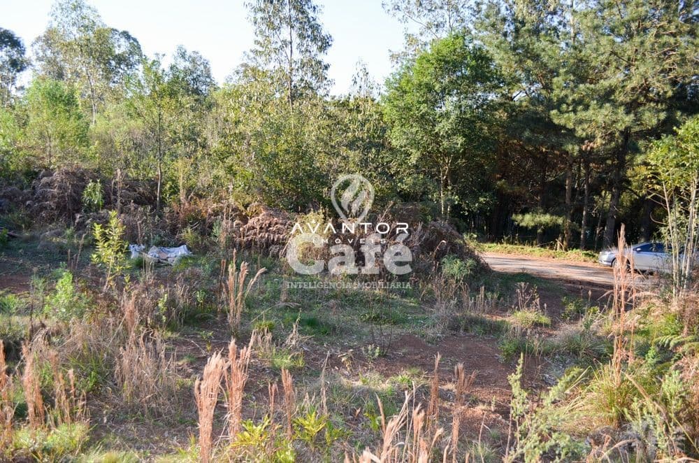 Terreno 20x47m em Itaara, 4km da BR-158, 20min de Santa Maria-RS — Terreno à venda em Etelvina, Itaara/RS