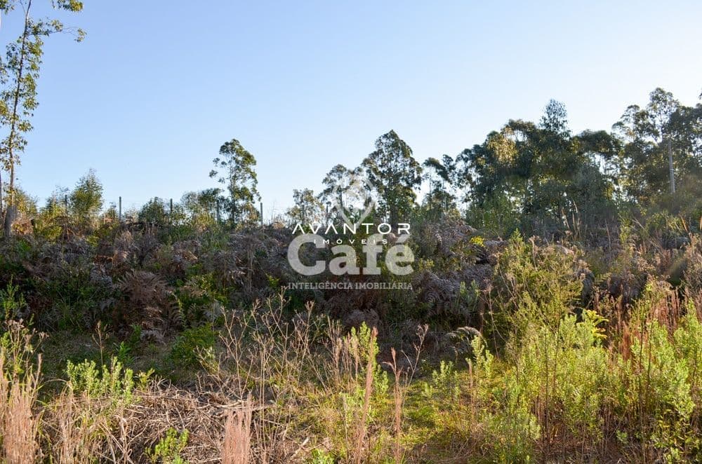 Terreno 20x47m em Itaara, 4km da BR-158, 20min de Santa Maria-RS — Terreno à venda em Etelvina, Itaara/RS