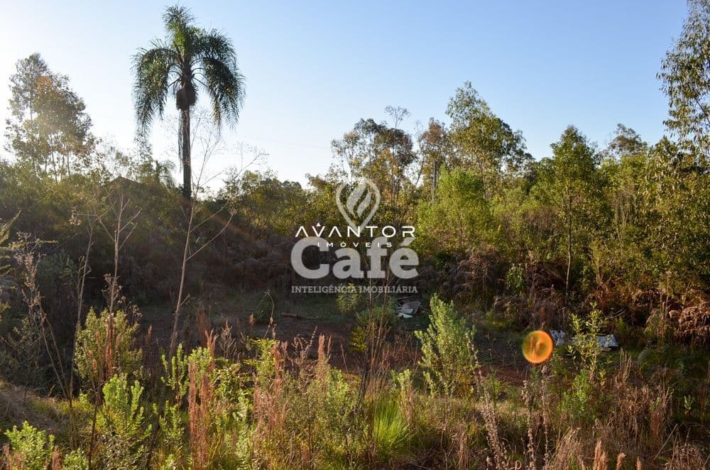 Terreno 20x47m em Itaara, 4km da BR-158, 20min de Santa Maria-RS — Terreno à venda em Etelvina, Itaara/RS