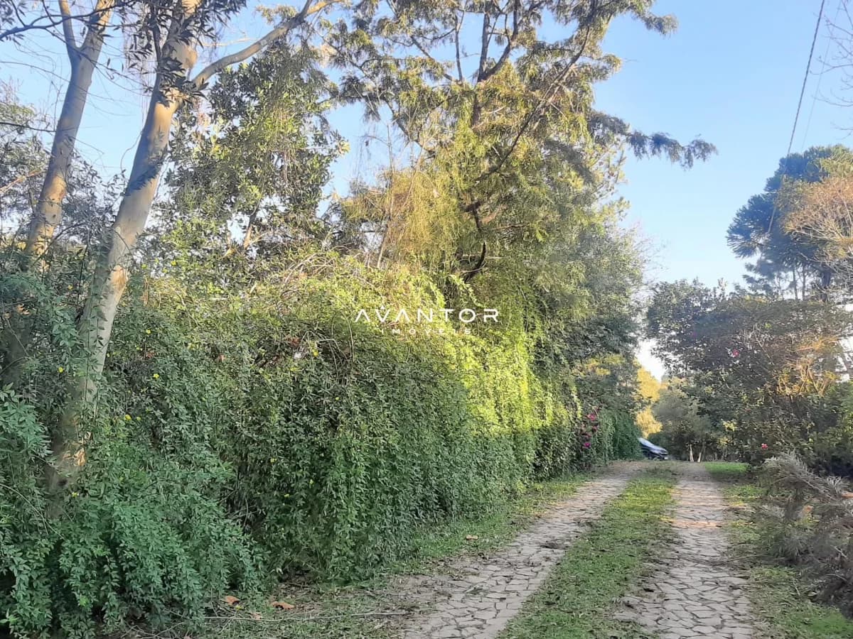 Acesso ao terreno com vegetação — Terreno à venda em Etelvina, Itaara/RS