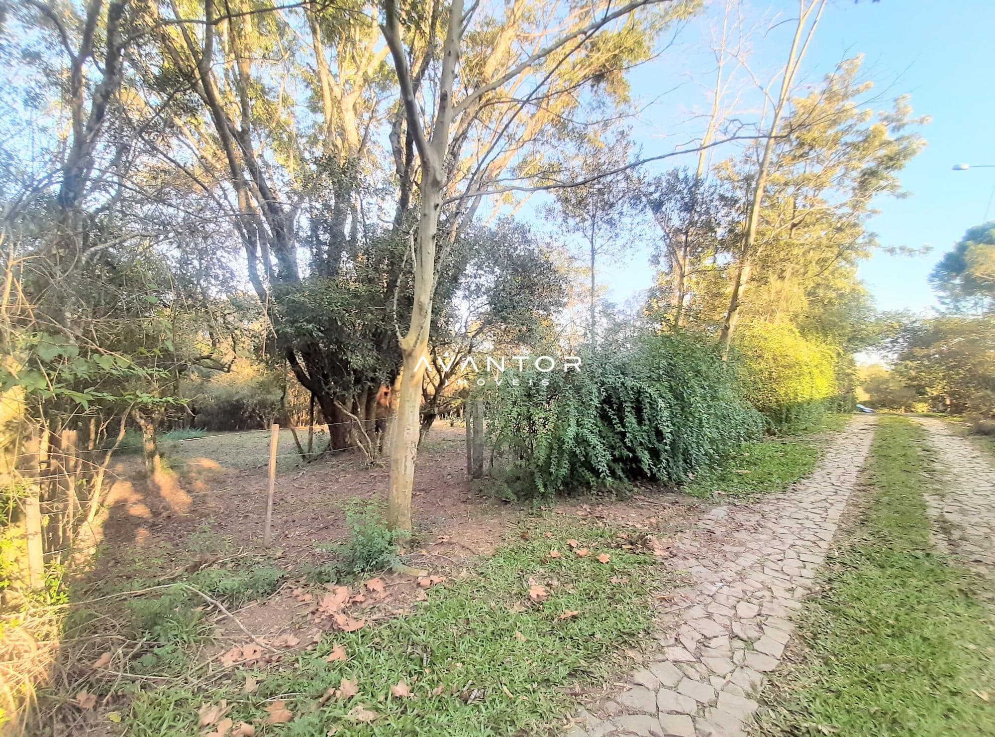 Terreno à venda em Etelvina, Itaara/RS — foto 2 de 7