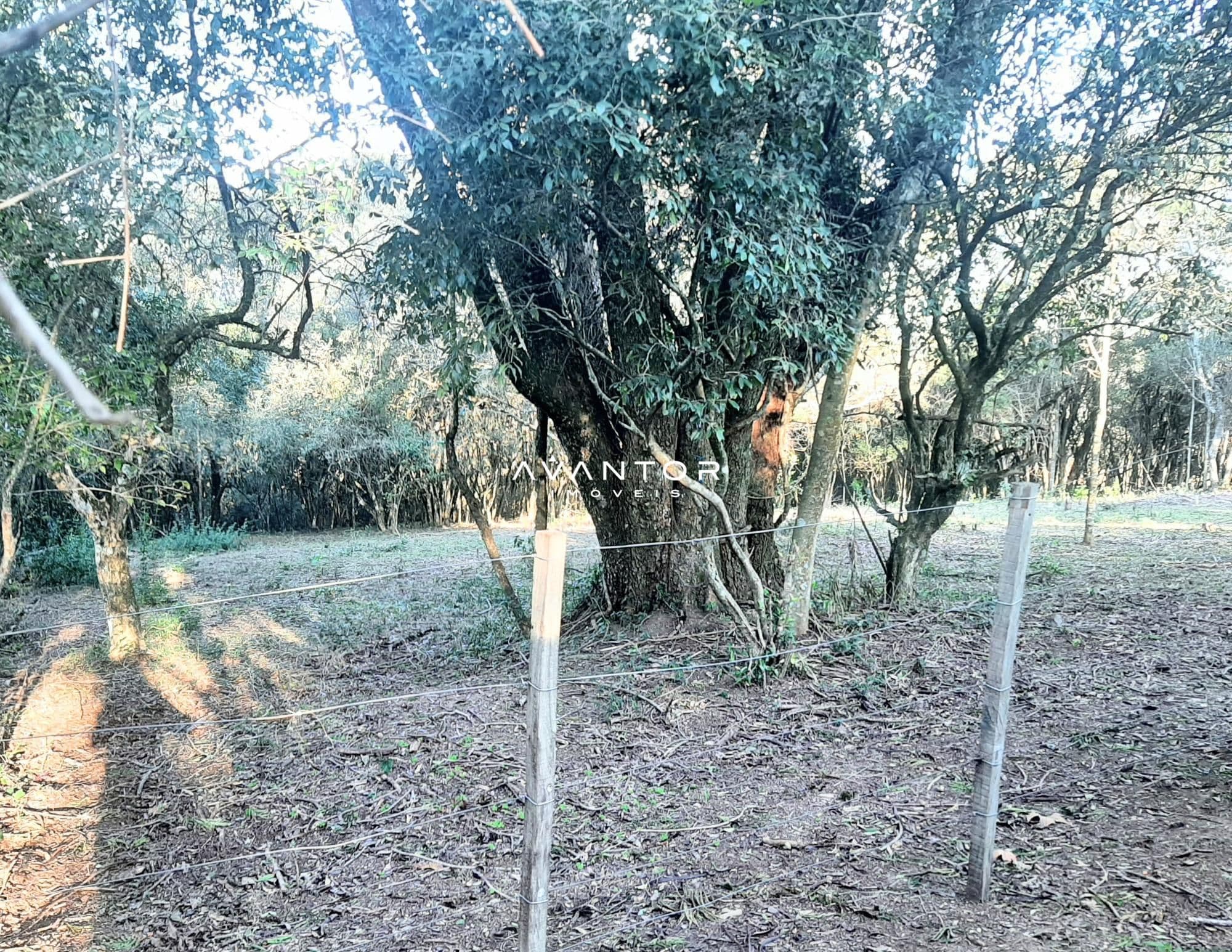 Terreno à venda em Etelvina, Itaara/RS — foto 3 de 7