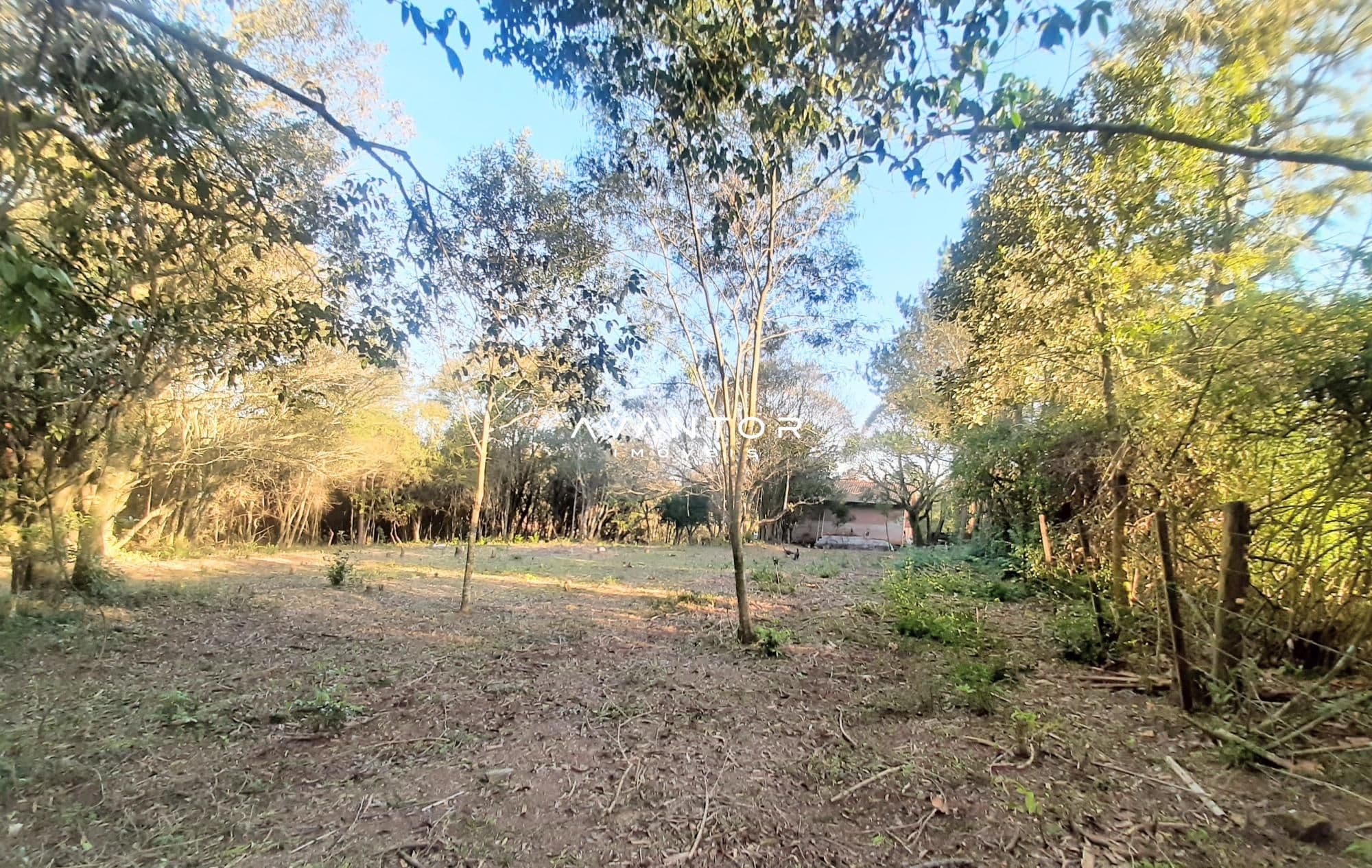 Terreno à venda em Etelvina, Itaara/RS — foto 4 de 7