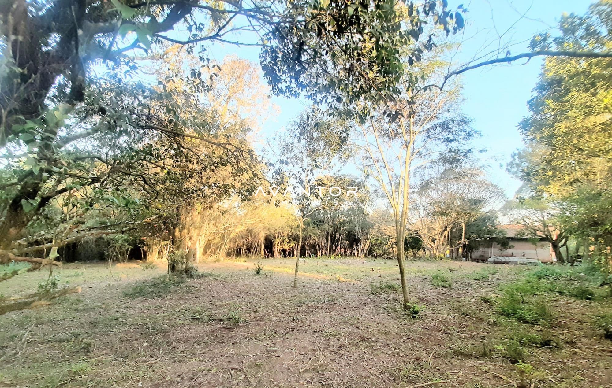 Terreno à venda em Etelvina, Itaara/RS — foto 5 de 7