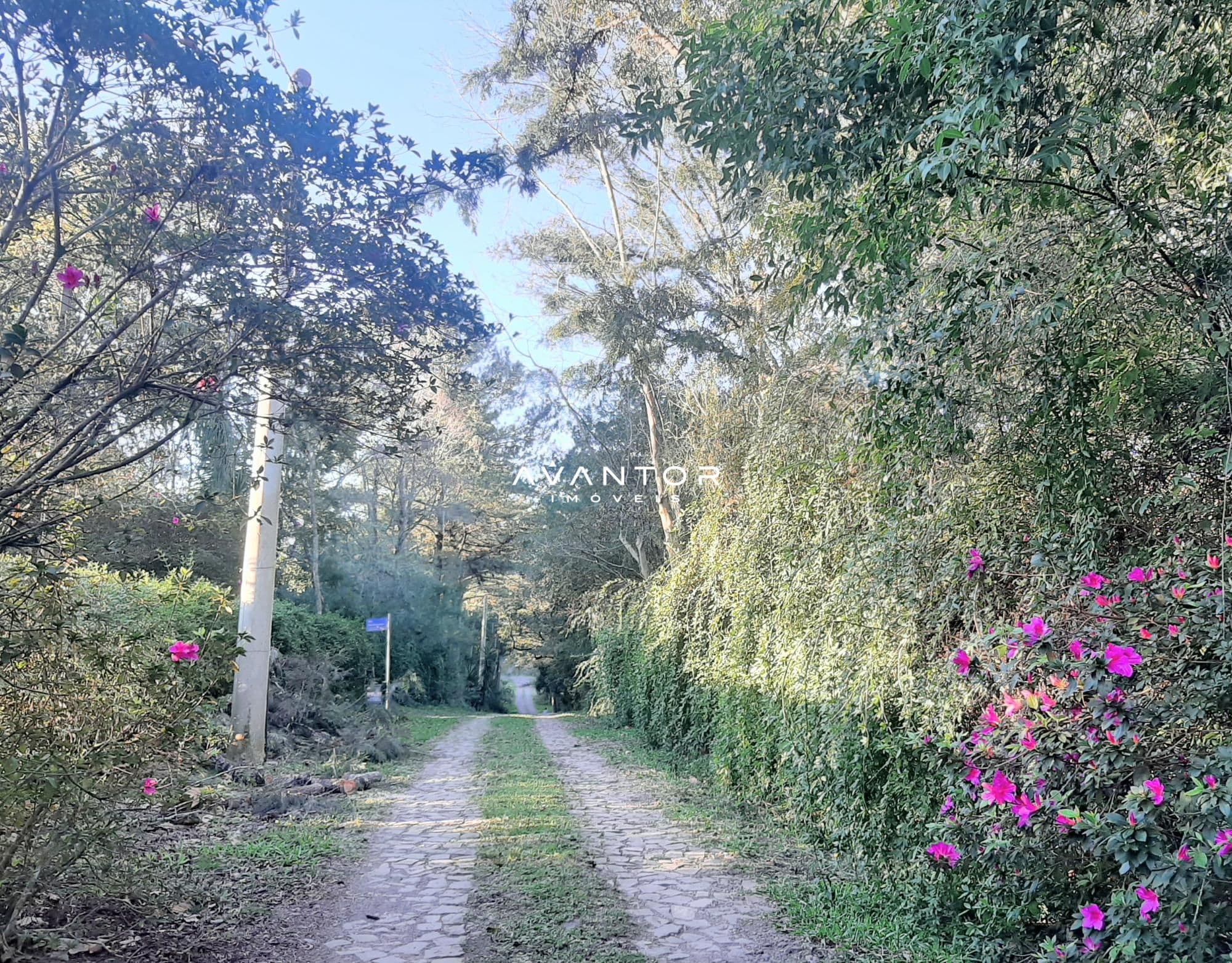 Terreno à venda em Etelvina, Itaara/RS — foto 6 de 7