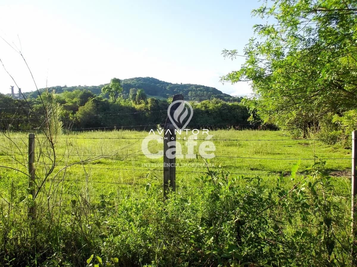 Terreno com vegetação e cerca — Terreno à venda em Diácono João Luiz Pozzobon, Santa Maria/RS