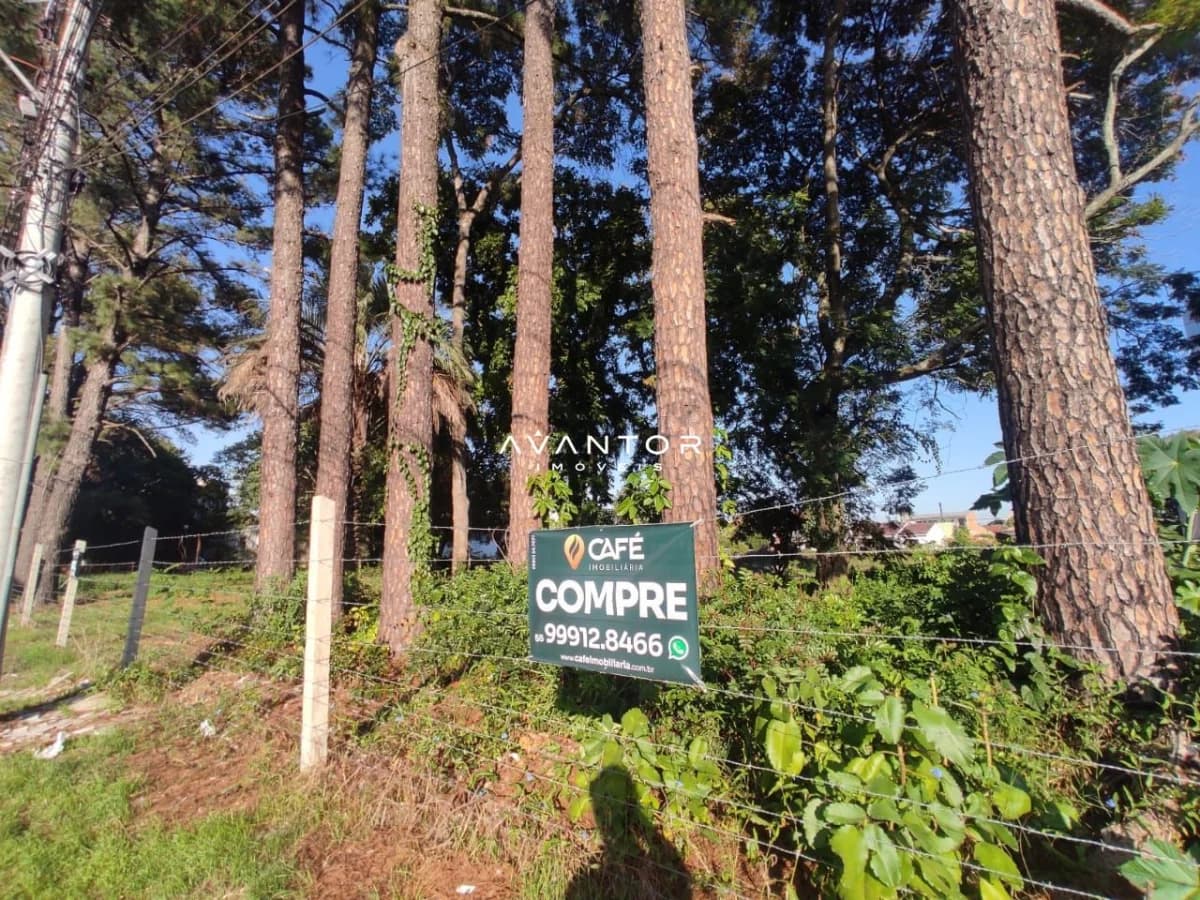 Terreno à venda em Camobi, Santa Maria/RS