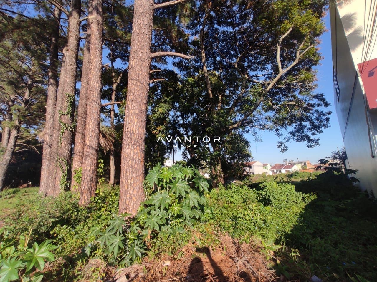 Terreno à venda em Camobi, Santa Maria/RS — foto 2 de 6