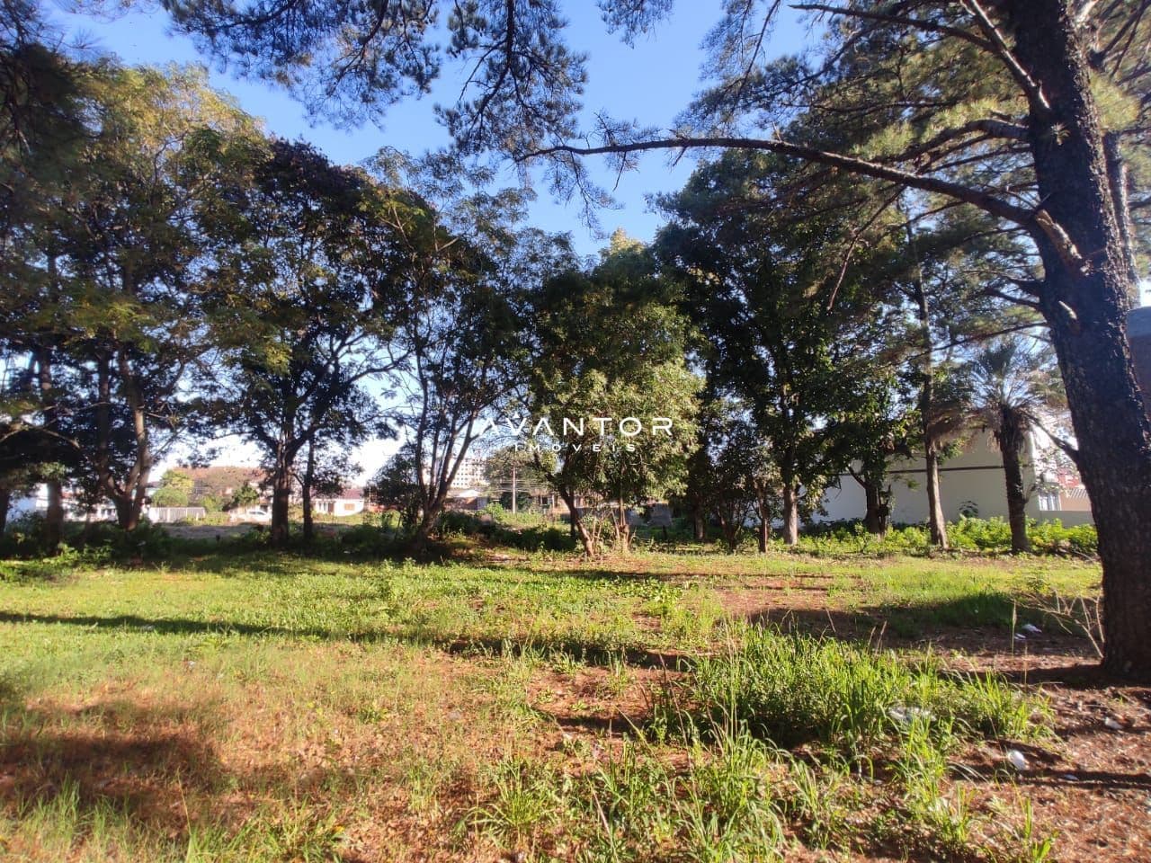 Terreno à venda em Camobi, Santa Maria/RS — foto 4 de 6
