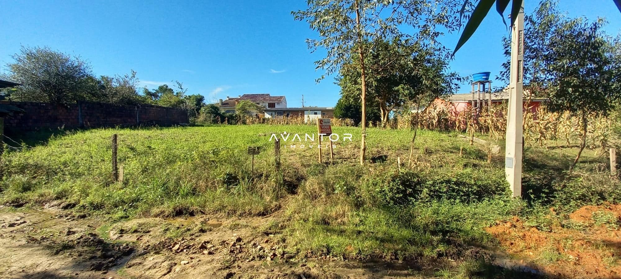 Terreno com plantações e construções ao fundo — Terreno à venda em Boi Morto, Santa Maria/RS