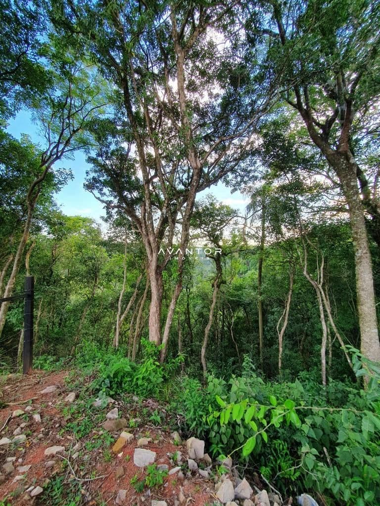 Terreno à venda em Novo Pinhal, Itaara/RS — foto 3 de 7