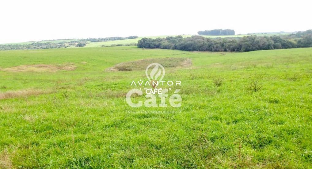 Campo à venda em Área Rural de Bagé, Bagé/RS