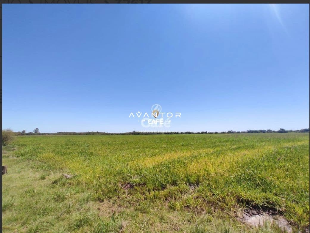 Campo à venda em Área Rural de Bagé, Bagé/RS — foto 2 de 4