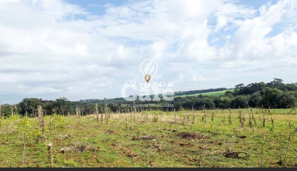 Campo à venda em Área Rural de Bagé, Bagé/RS — foto 3 de 4