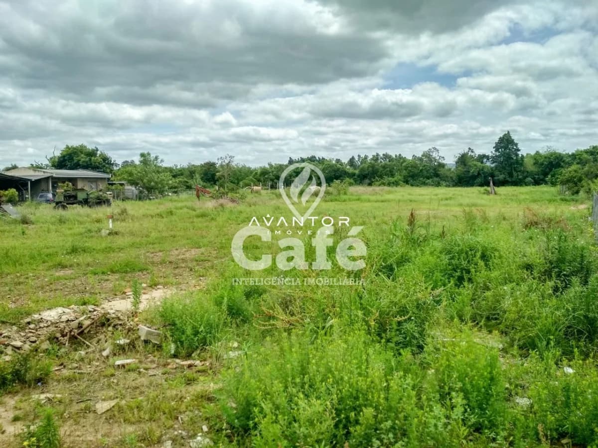 Terreno com vegetação e área aberta — Terreno à venda em Juscelino Kubitschek, Santa Maria/RS