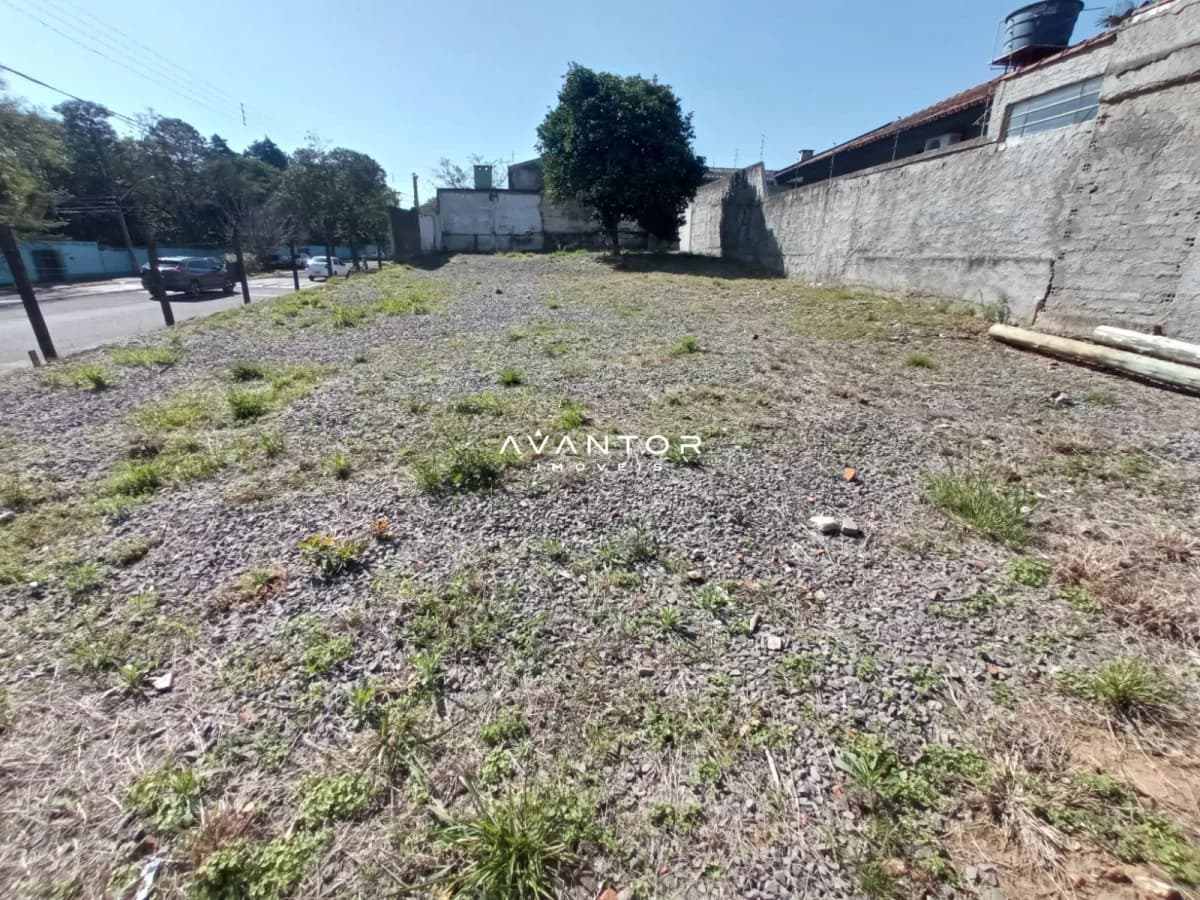 Terreno com área externa — Terreno para alugar em Patronato, Santa Maria/RS