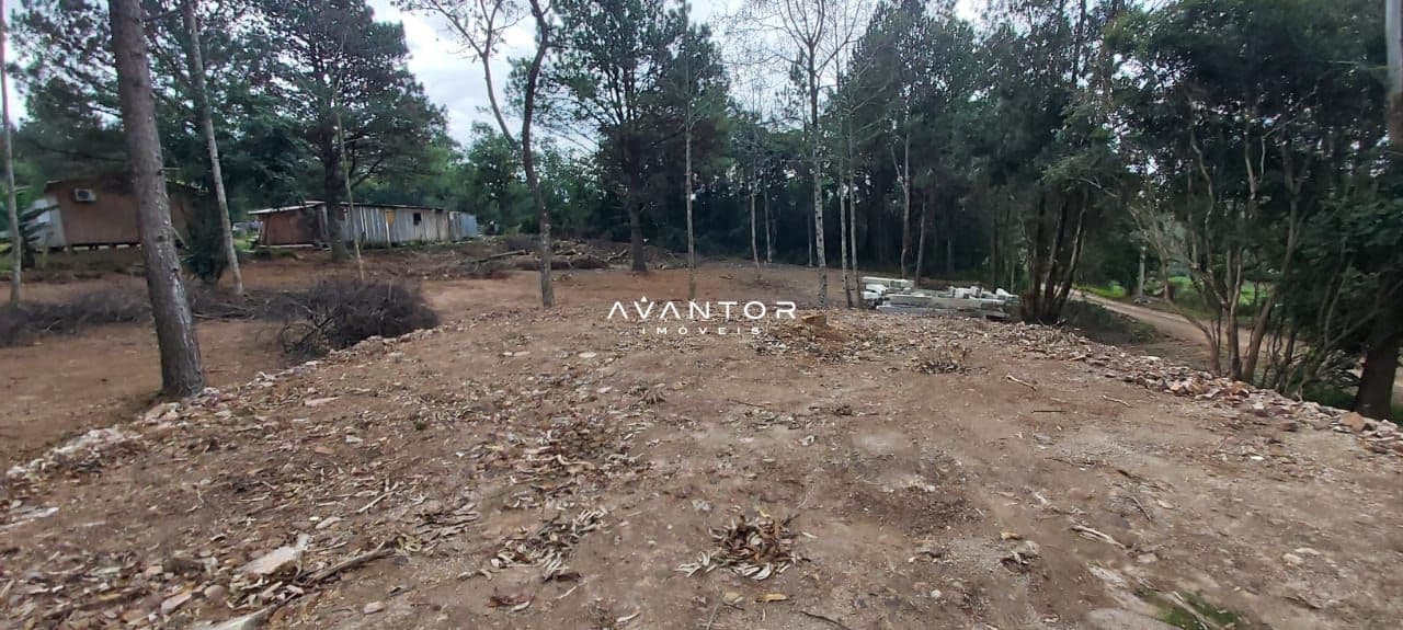 Terreno com árvores e estrutura — Terreno à venda em Parque Serrano I, Itaara/RS