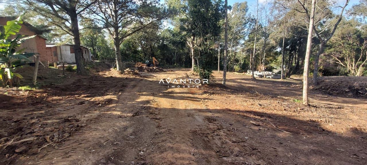 Terreno com vegetação e árvores — Terreno à venda em Parque Serrano I, Itaara/RS