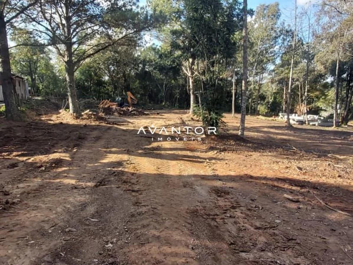 Terreno com vegetação e árvores — Terreno à venda em Parque Serrano I, Itaara/RS