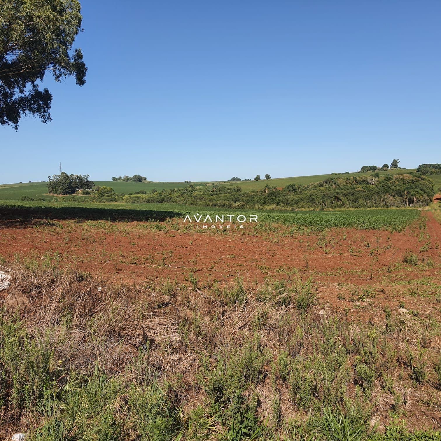 Terreno com vista para área rural — Campo à venda em Área Rural de Cruz Alta, Cruz Alta/RS