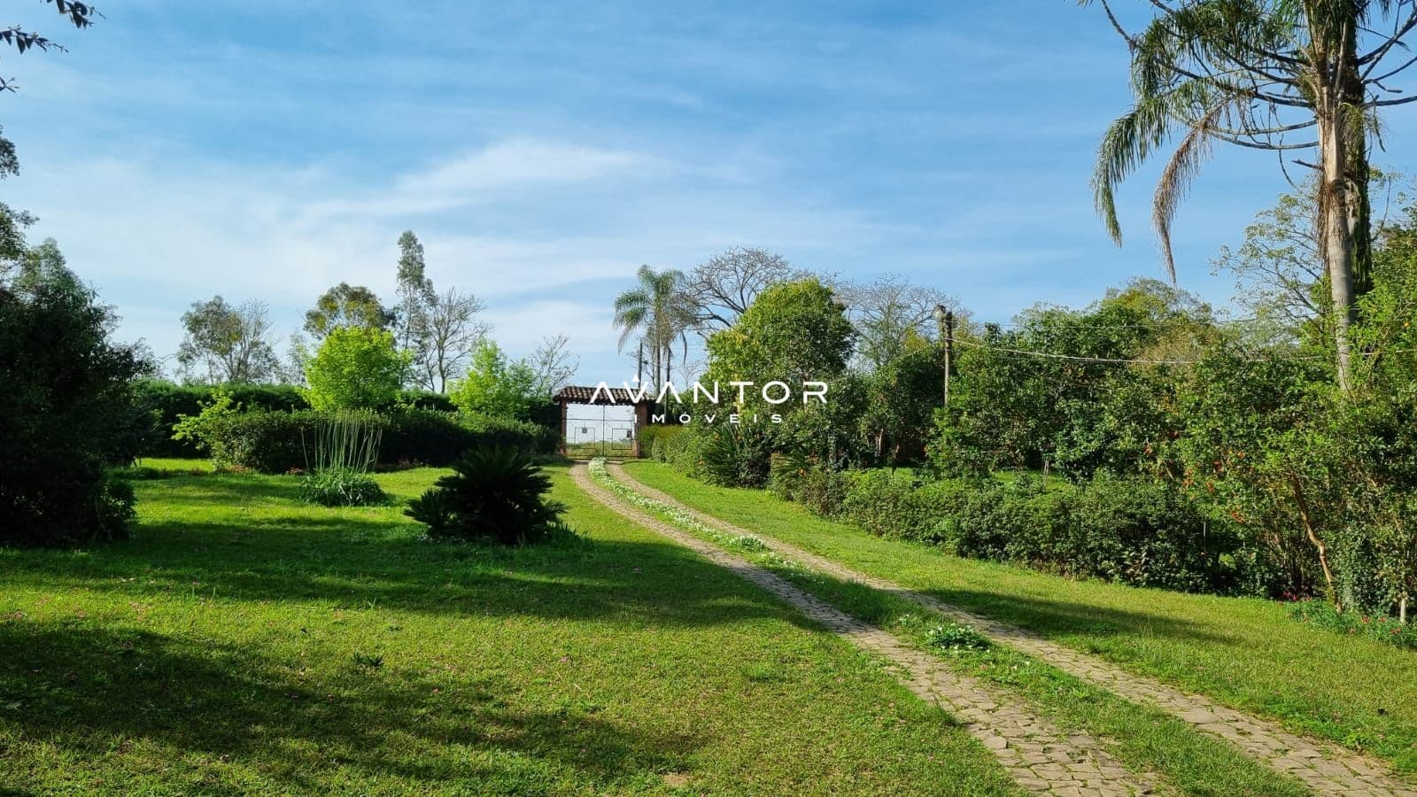 Chácara com 5 quartos à venda em Tomazetti, Santa Maria/RS — foto 8 de 43