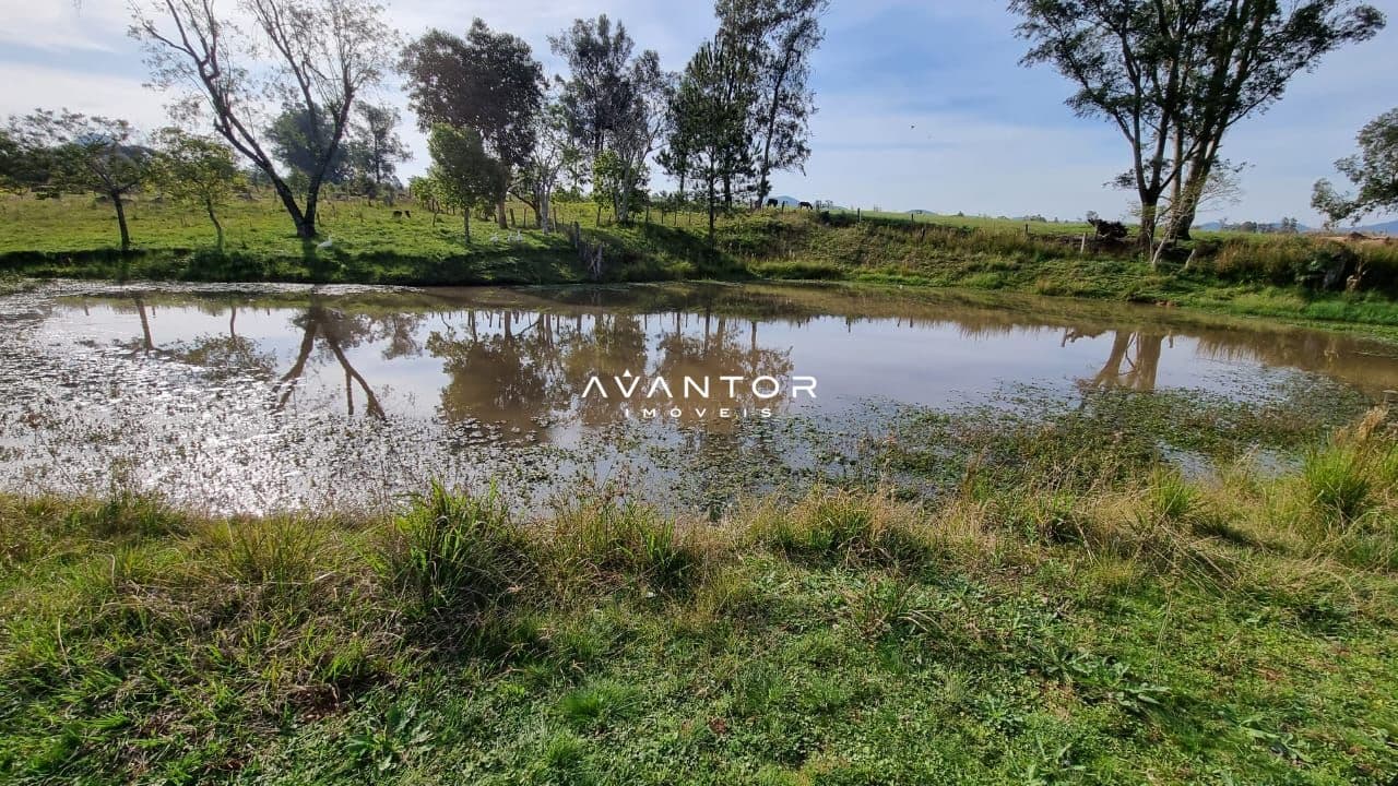 Chácara com 5 quartos à venda em Tomazetti, Santa Maria/RS — foto 38 de 43
