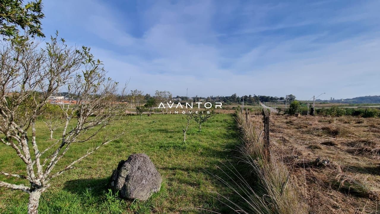 Chácara com 5 quartos à venda em Tomazetti, Santa Maria/RS — foto 41 de 43