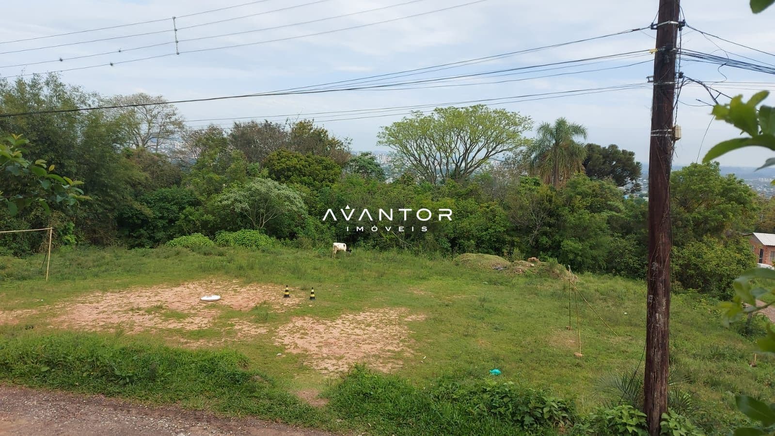 Terreno à venda em Chácara das Flores, Santa Maria/RS — foto 3 de 3