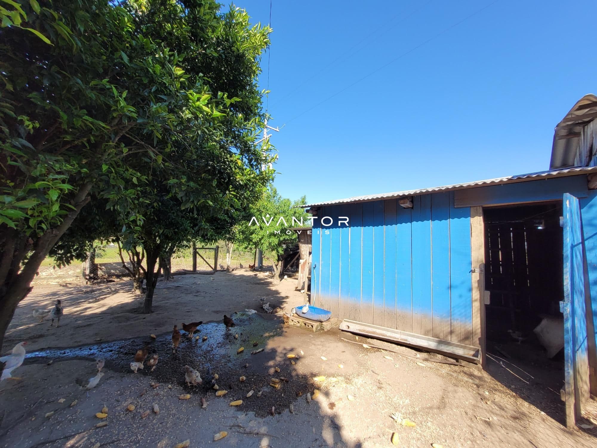 Chácara com 3 quartos à venda em Interior, Dilermando de Aguiar/RS — foto 17 de 62