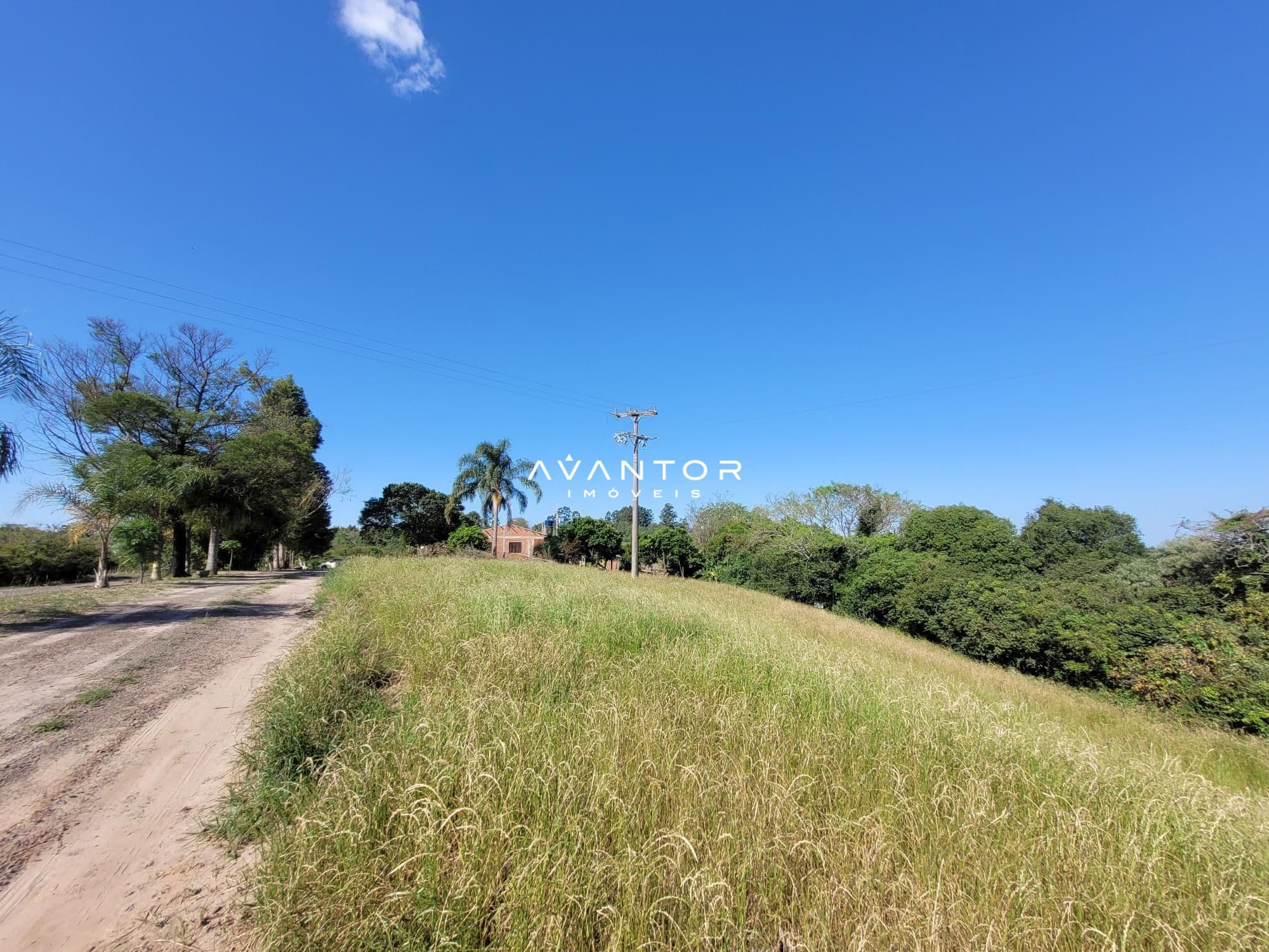 Chácara com 3 quartos à venda em Interior, Dilermando de Aguiar/RS — foto 30 de 62
