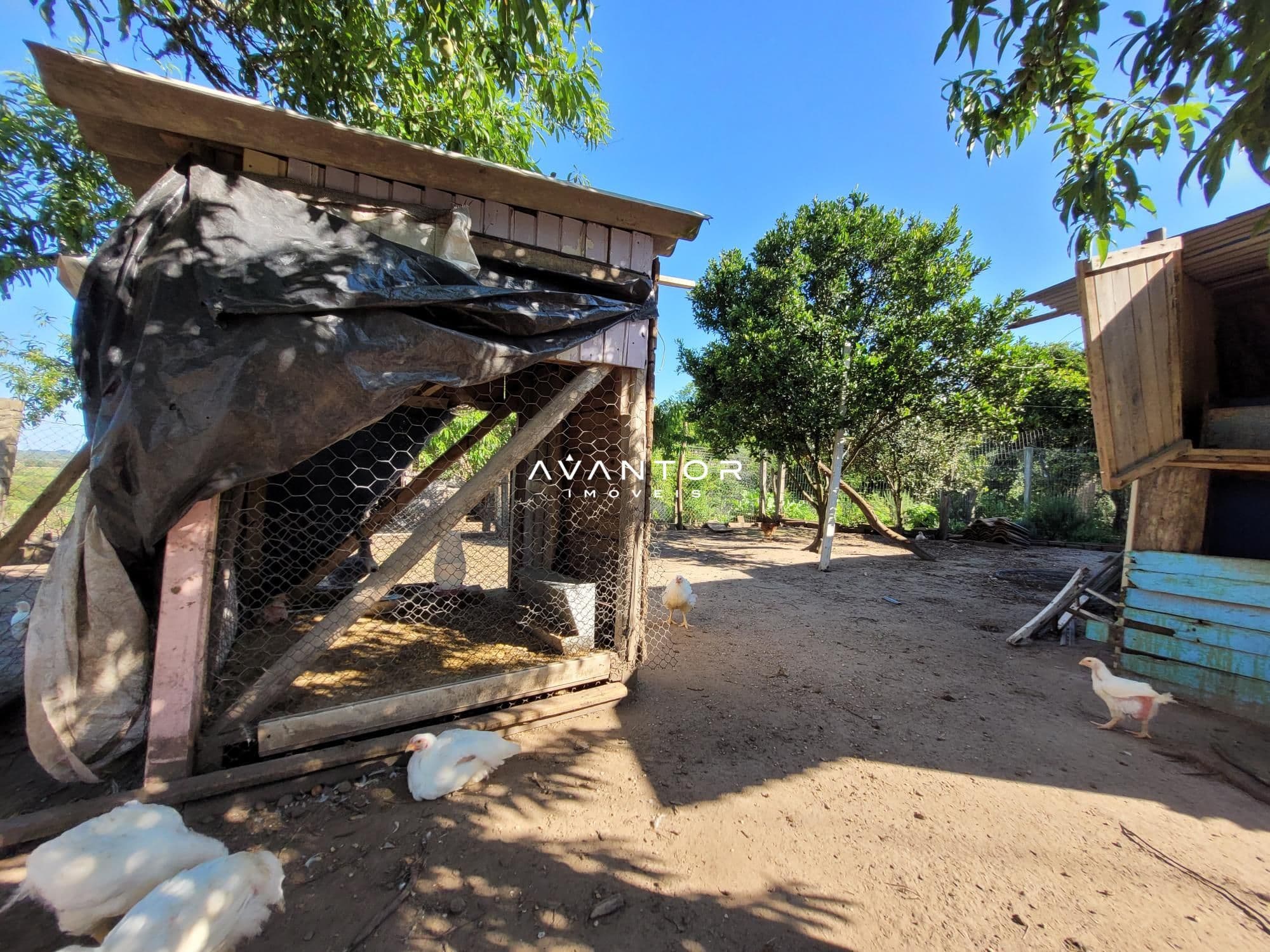 Chácara com 3 quartos à venda em Interior, Dilermando de Aguiar/RS — foto 31 de 62